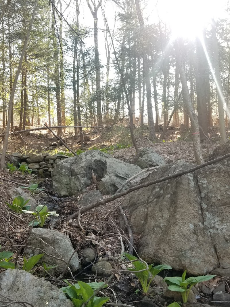 Colonial Heights photo 3