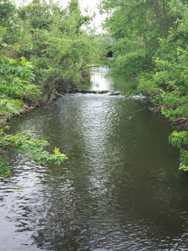 Columbus Park photo 2