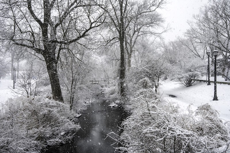 Columbus Park photo 4