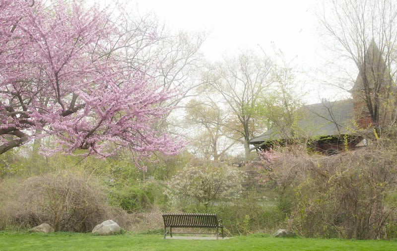 Columbus Park photo 5