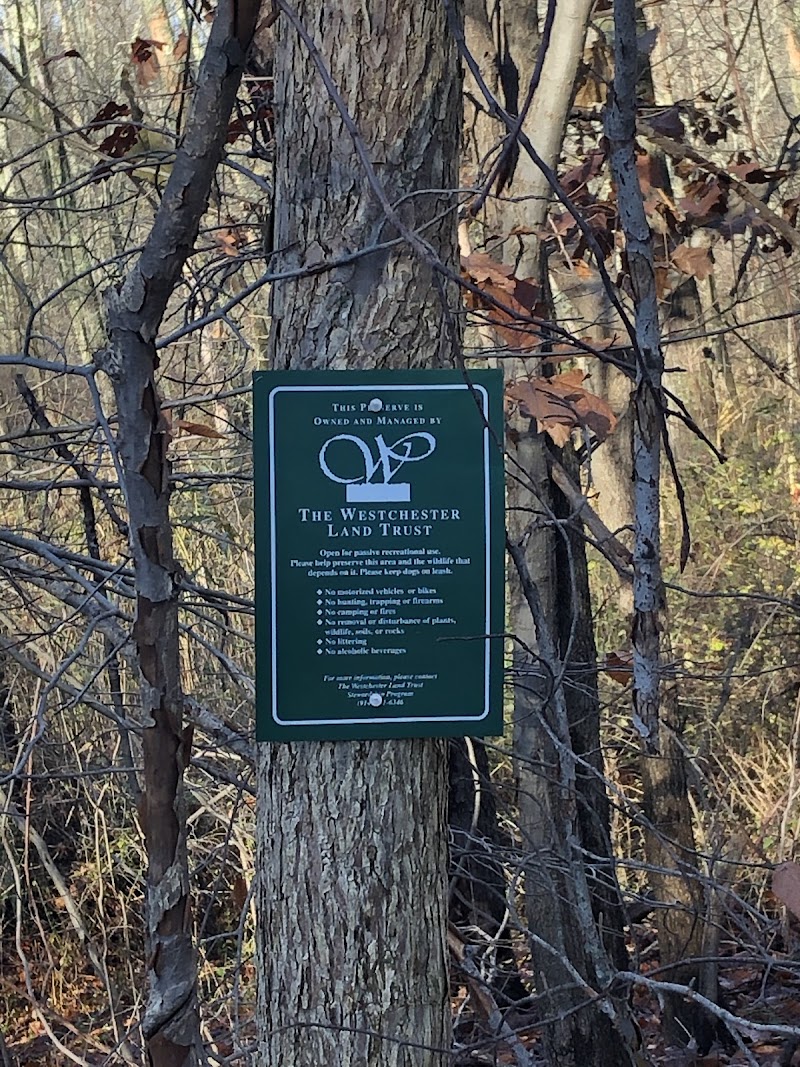 Tom Burke Preserve photo 2