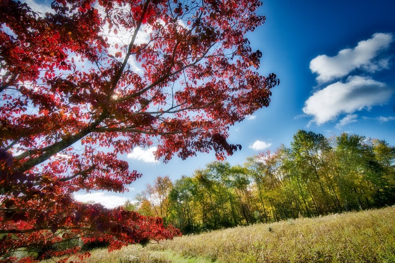 Tom Burke Preserve photo 3