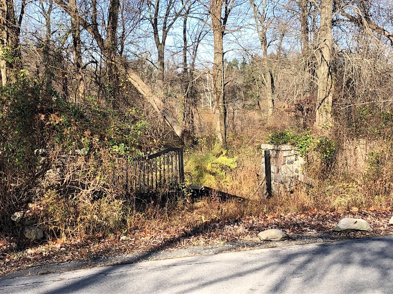 Tom Burke Preserve photo 4