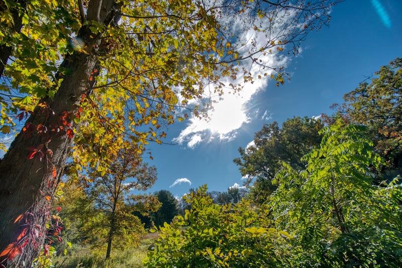 Tom Burke Preserve photo 5