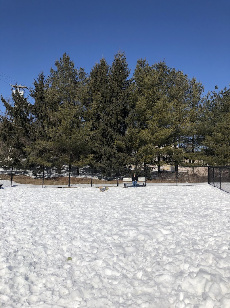 Somers Dog Park photo 3