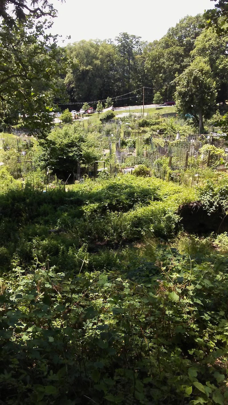 Community Gardens - Zinsser Park photo 5
