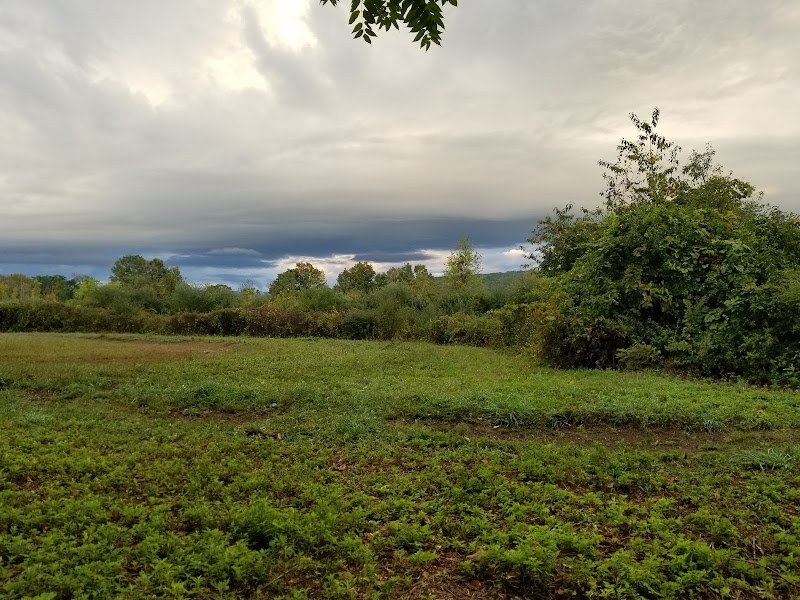 Donald J. Trump State Park photo 2