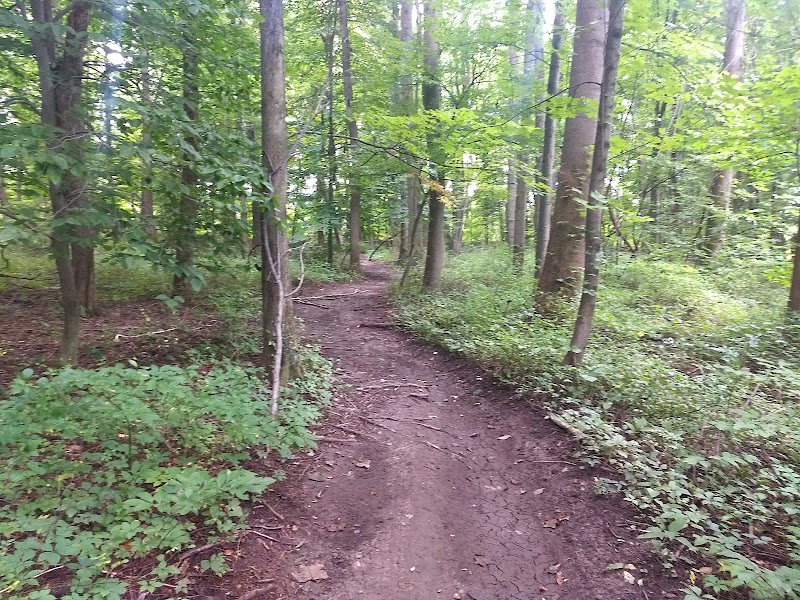 Donald J. Trump State Park photo 4
