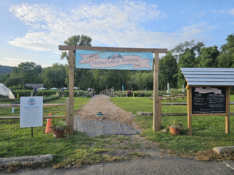 Honeybee Grove Flower Farm photo 4