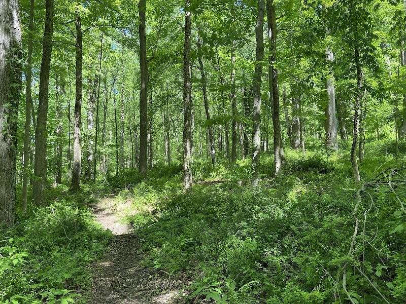 Long Pond Preserve photo 3