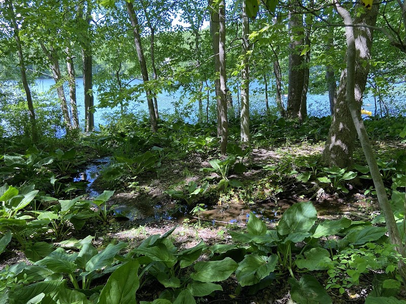 Long Pond Preserve photo 5