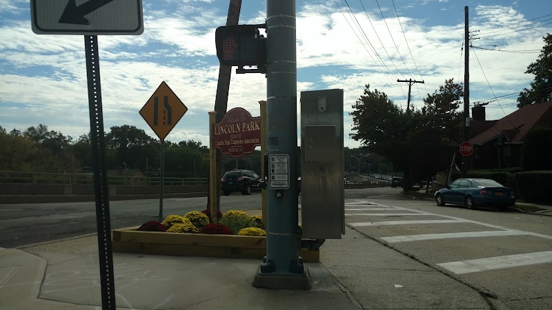 Conor Park photo 2