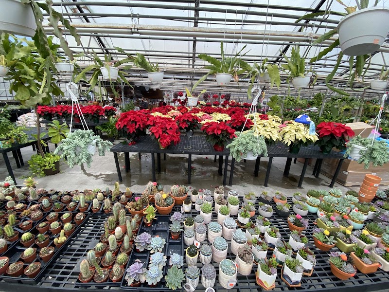 Tony's Nursery Inc photo 2