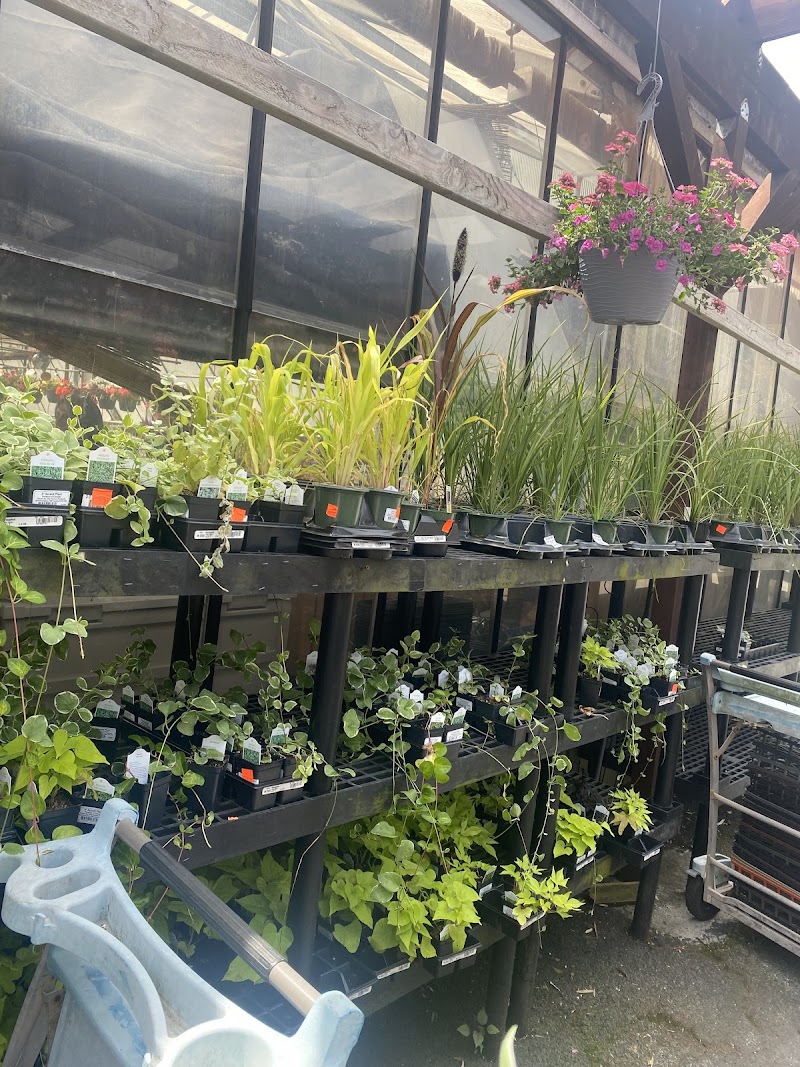 Tony's Nursery Inc photo 5
