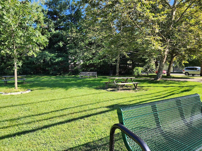 Woodland Park Playground photo 4