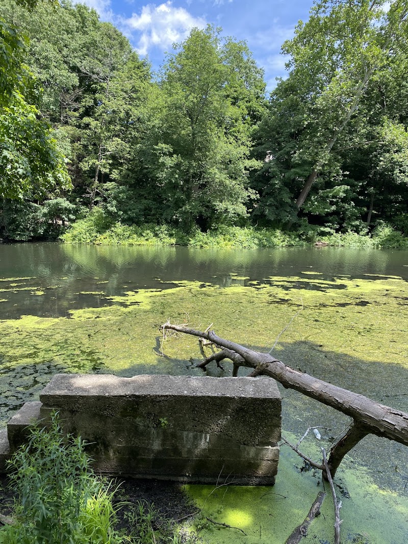 Woolen Mill Pond Preserve photo 2