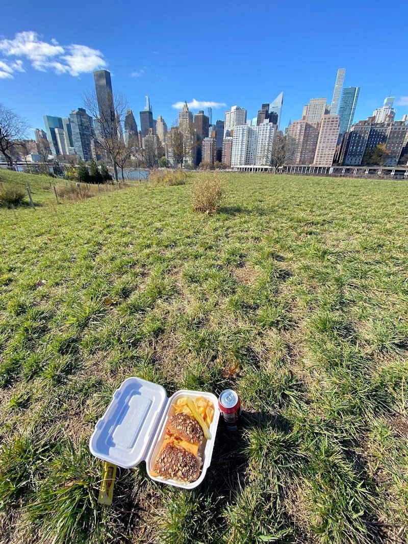 Roosevelt Park photo 4