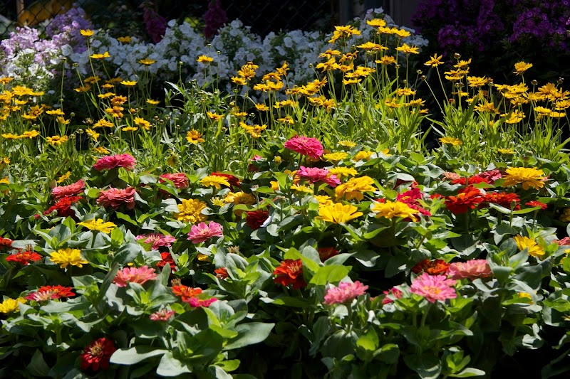 Copia Home and Garden photo 2