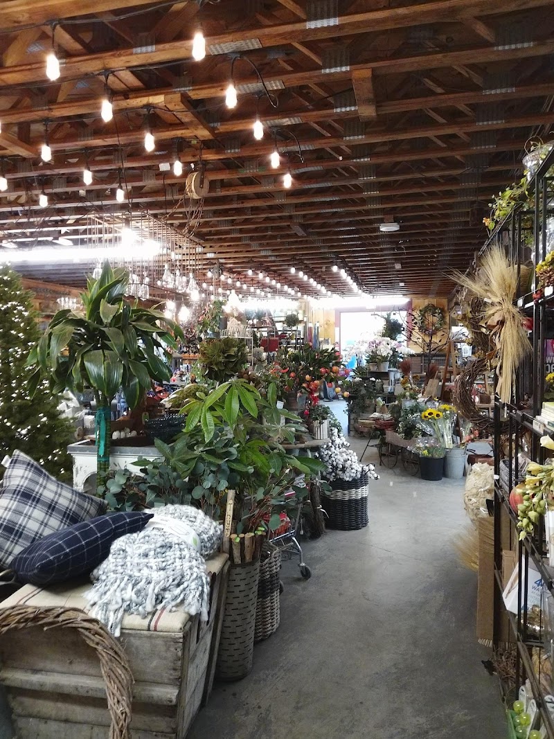 Copia Home and Garden photo 4