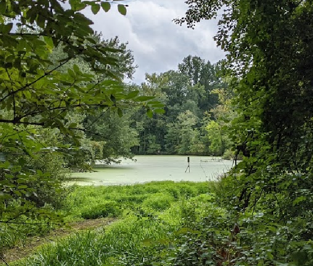 Yorktown Community Dog Park photo 2