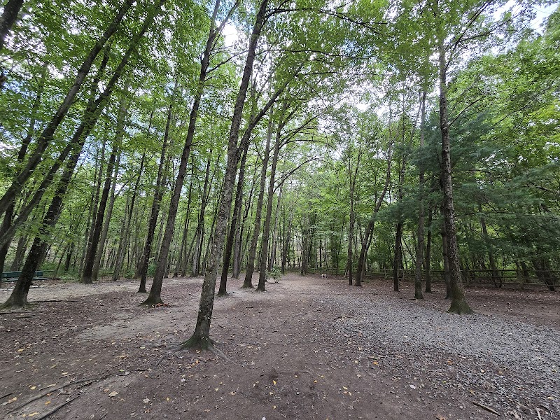 Yorktown Community Dog Park photo 3