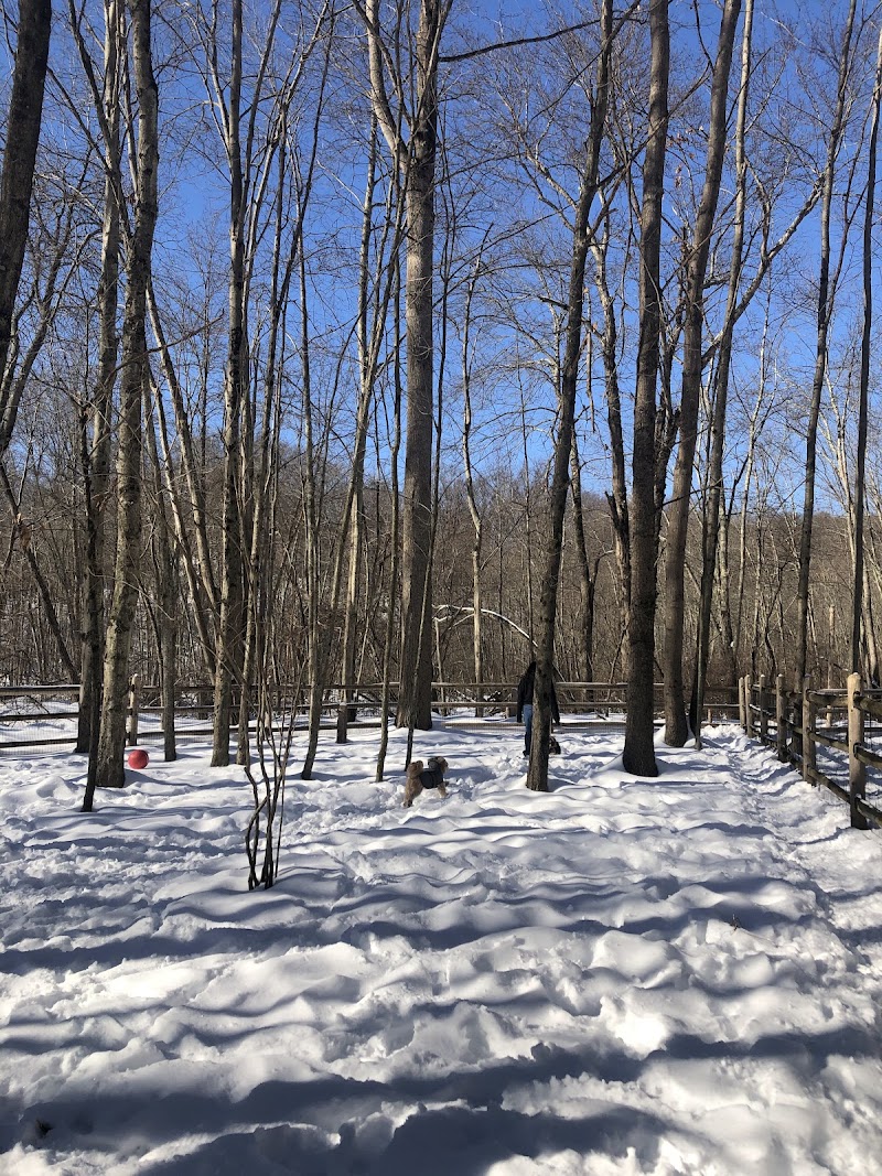 Yorktown Community Dog Park photo 4