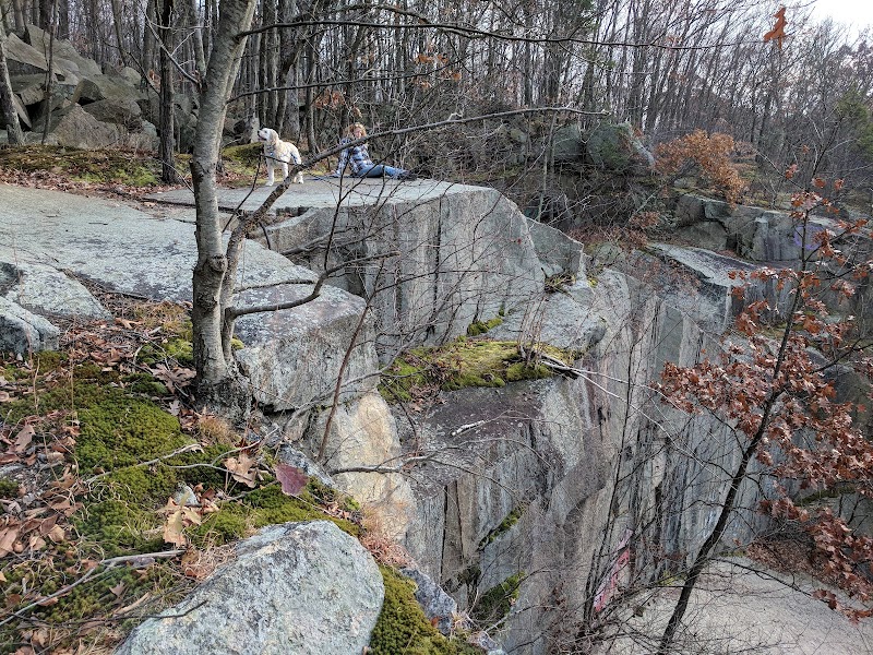 Yorktown Community Dog Park photo 5