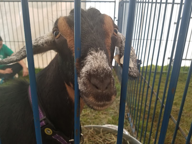 Yorktown Grange Fair Grounds photo 4