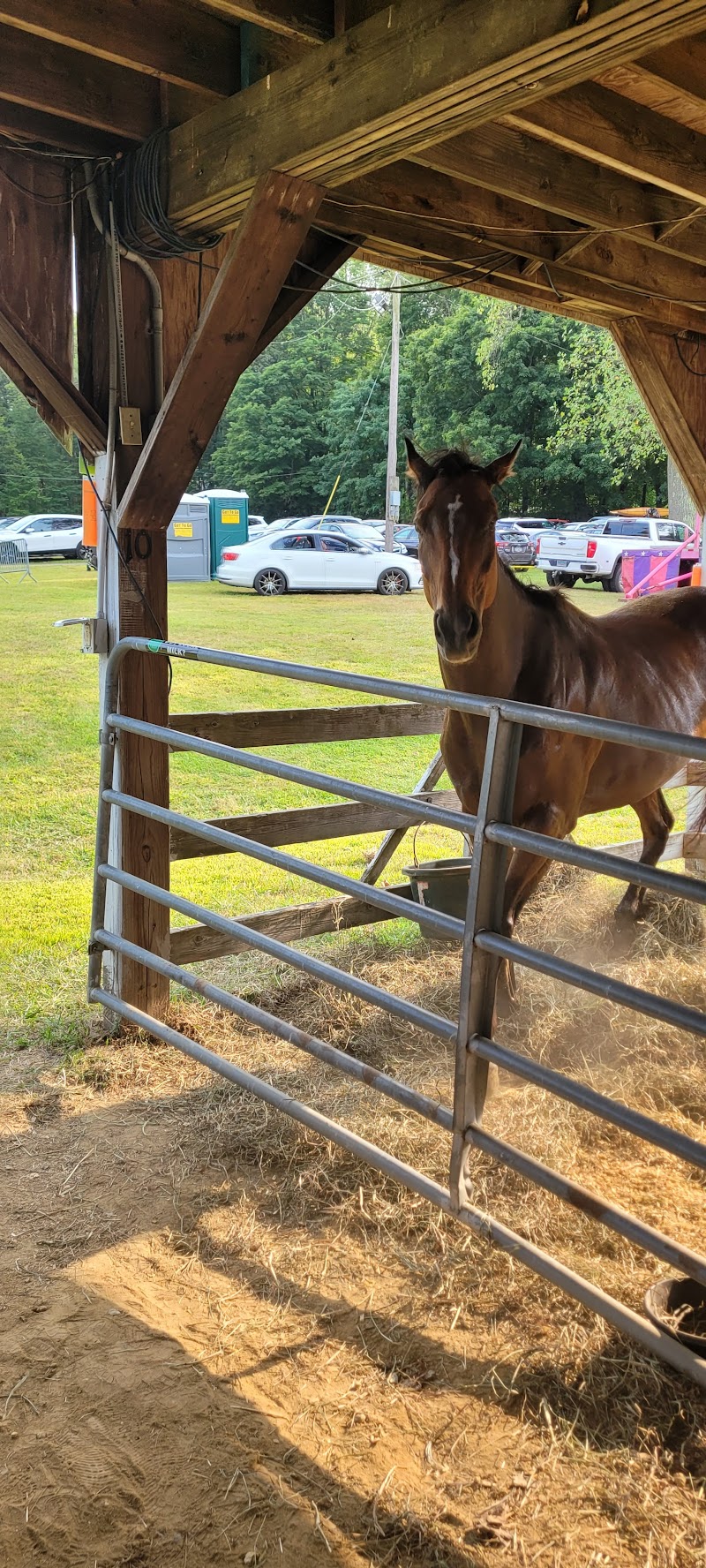 Yorktown Grange Fair Grounds photo 5