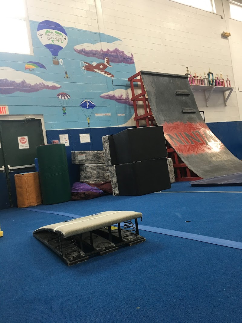 World Cup Gymnastics photo 3