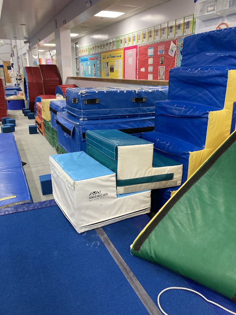 World Cup Gymnastics photo 5