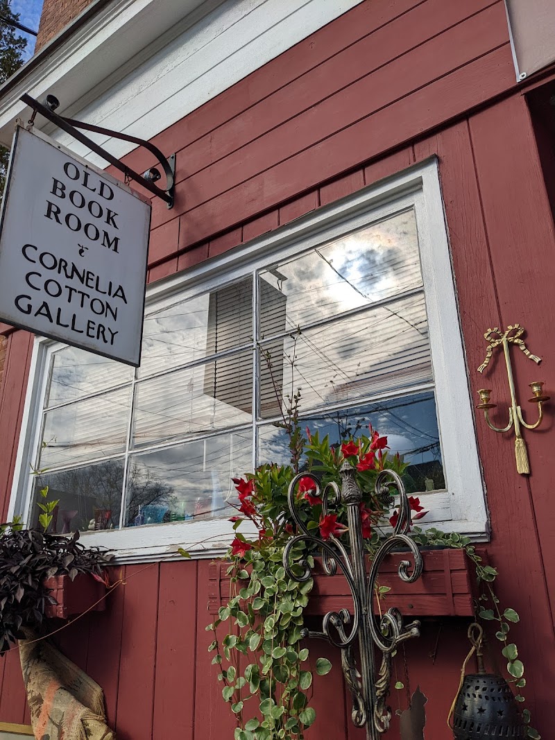 Cornelia Cotton Gallery photo 4
