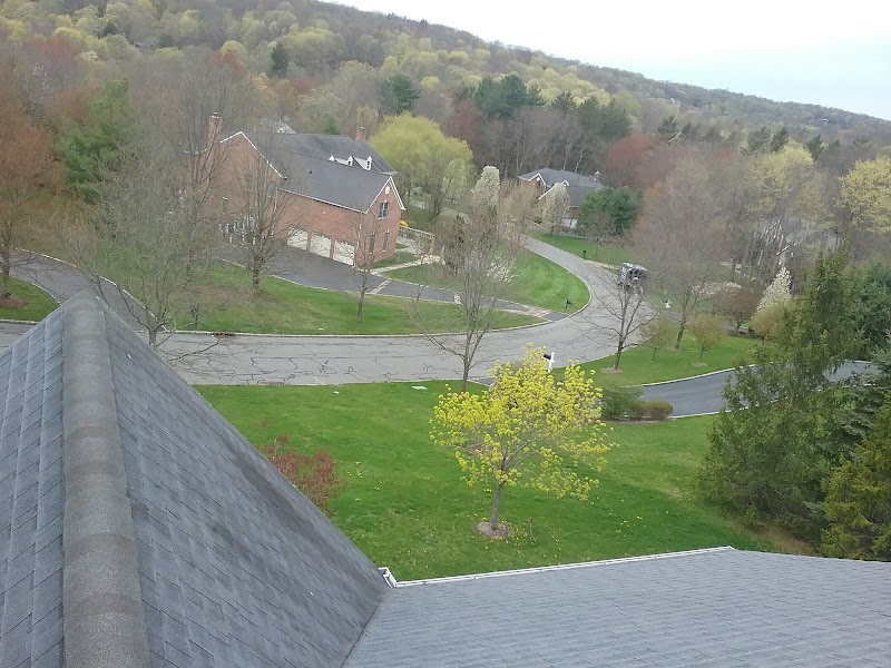 North Castle Pool and Tennis Club photo 3