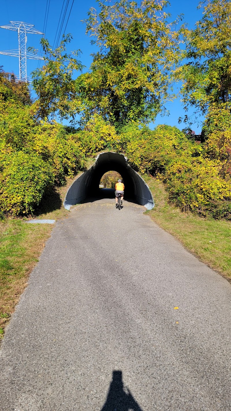 North Trail photo 4
