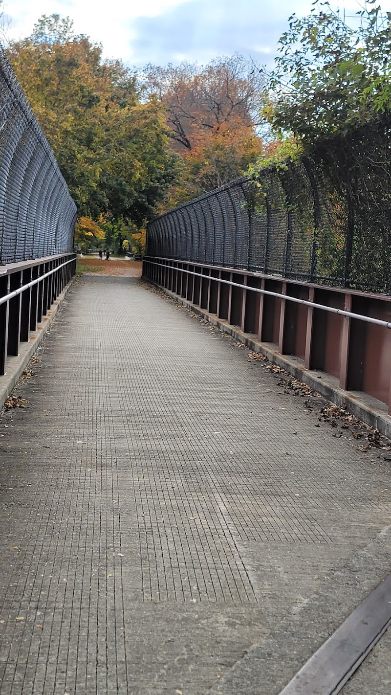 North Trail photo 5