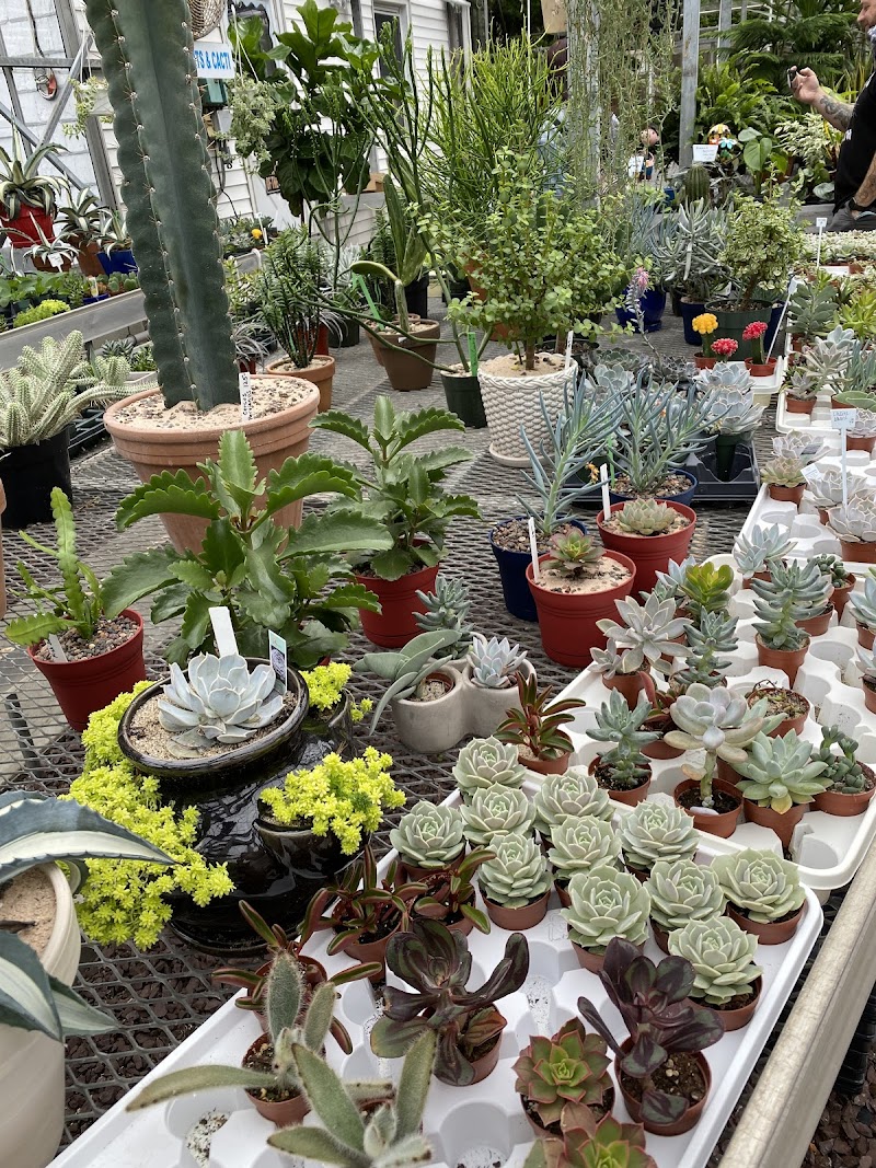 Rose Hill Nurseries photo 5