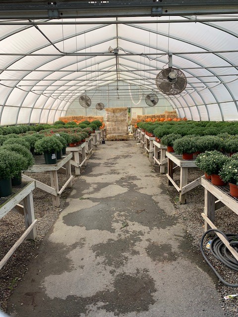 Rosedale Nurseries Inc. photo 2