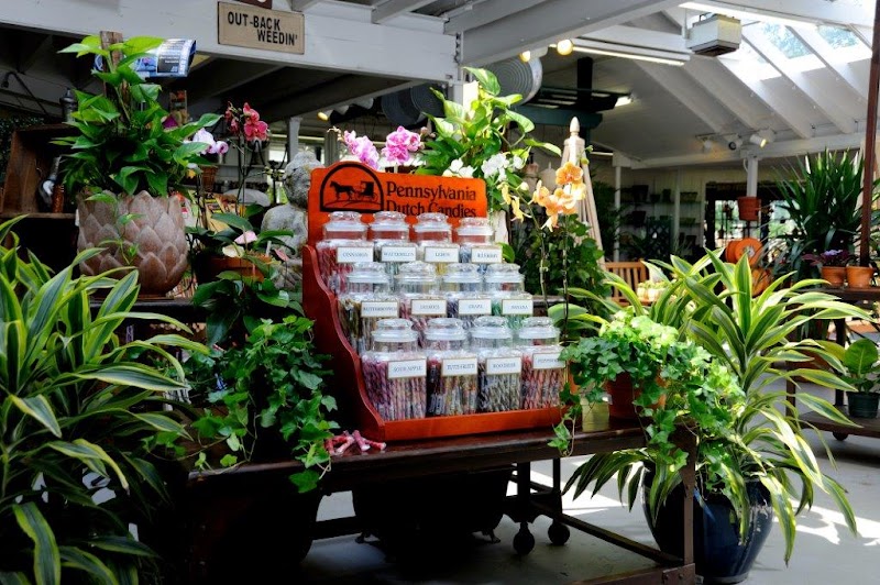 Rosedale Nurseries Inc. photo 3