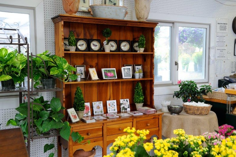 Rosedale Nurseries Inc. photo 5