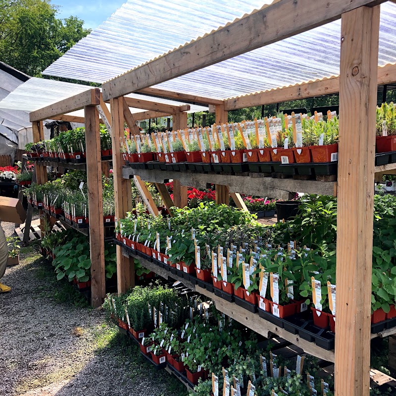 Gossett Nursery photo 2