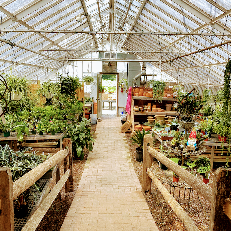 Gossett Nursery photo 3