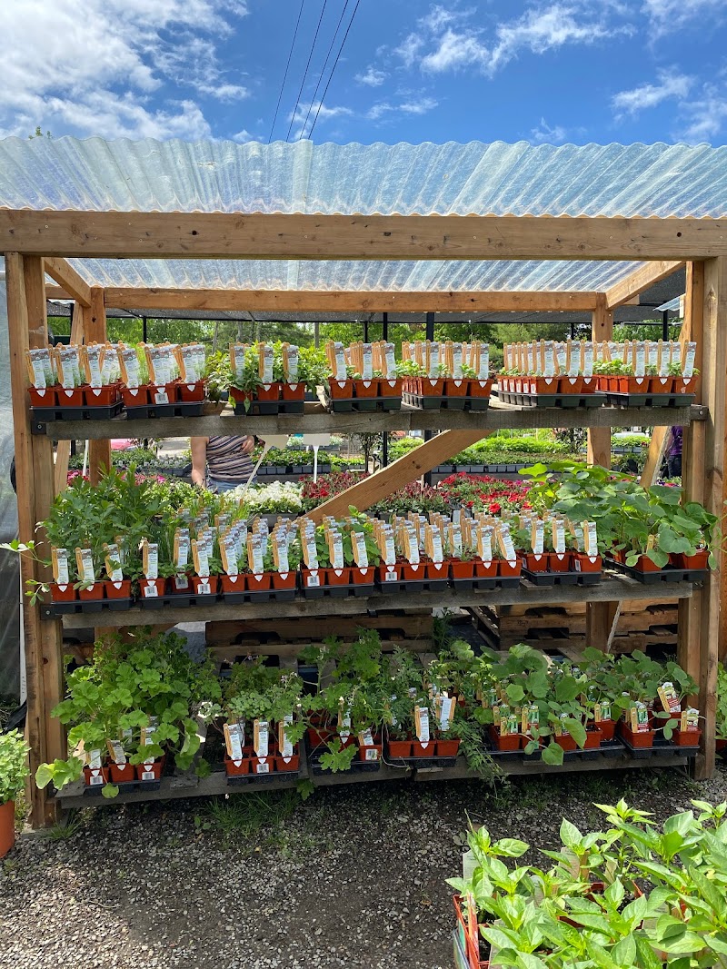 Gossett Nursery photo 5