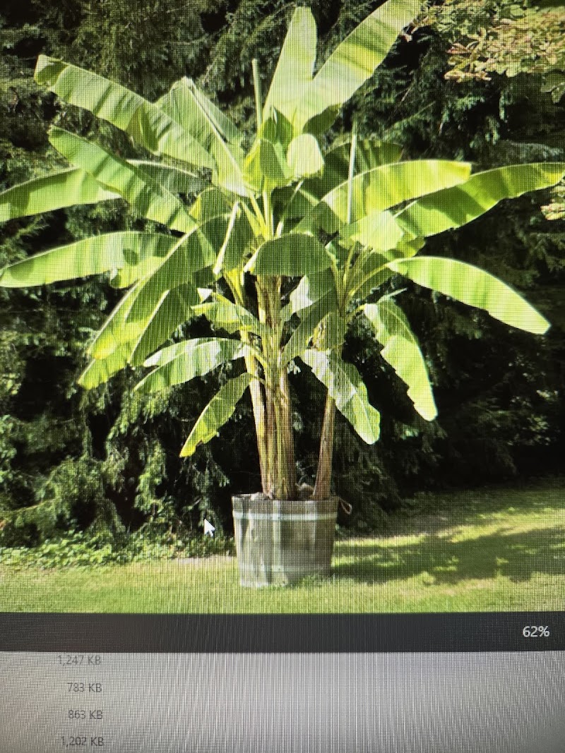 A Botanicals LLC photo 3