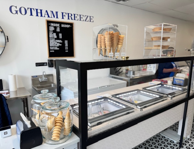 Gotham Freeze photo 3