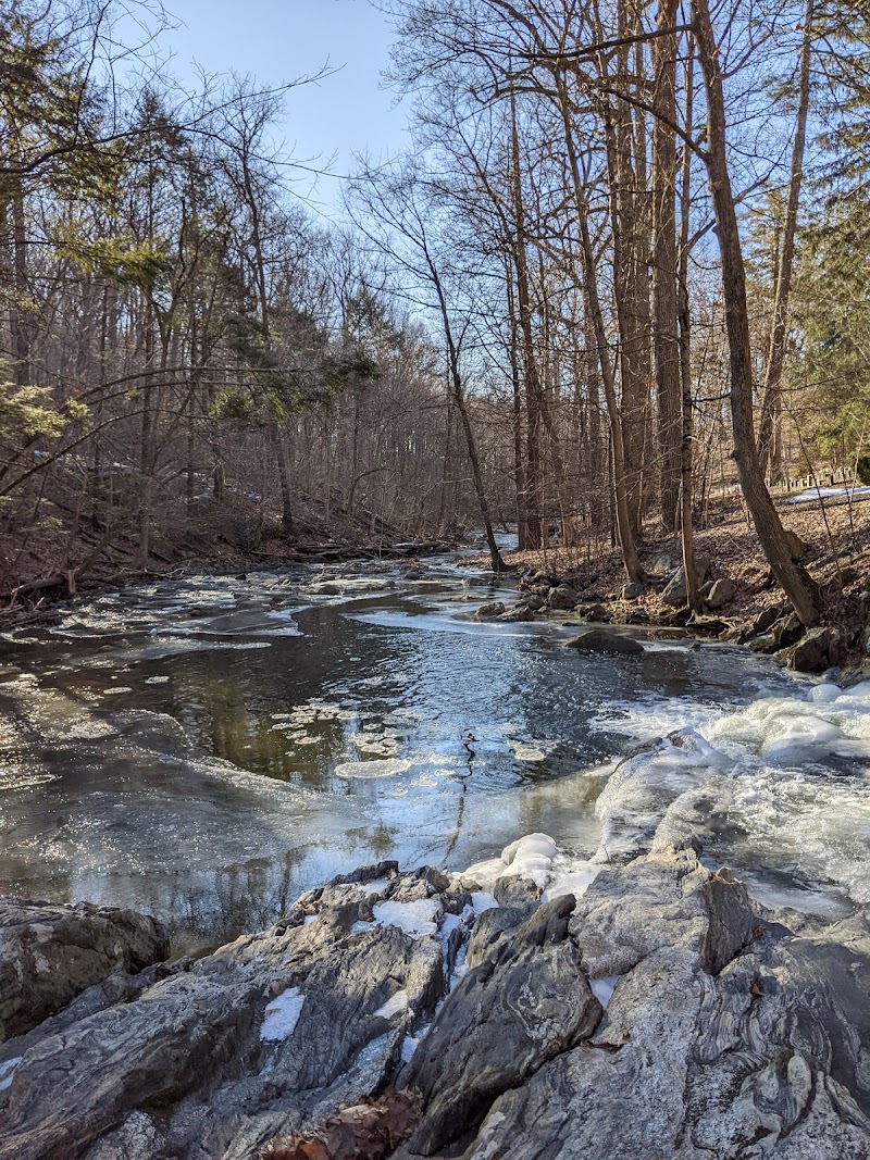 Douglas Park photo 3