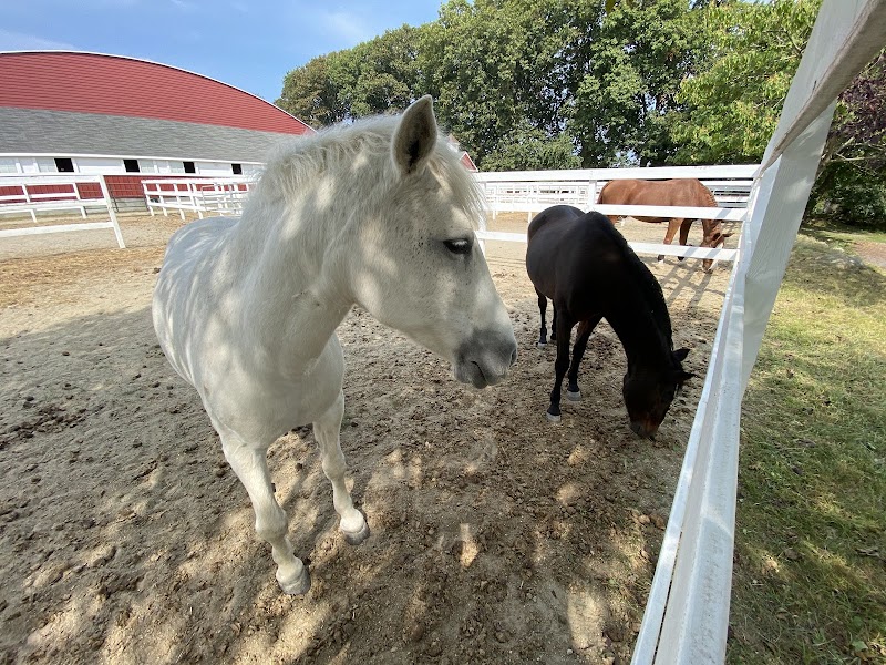 Boulder Brook Equestrian Center photo 2