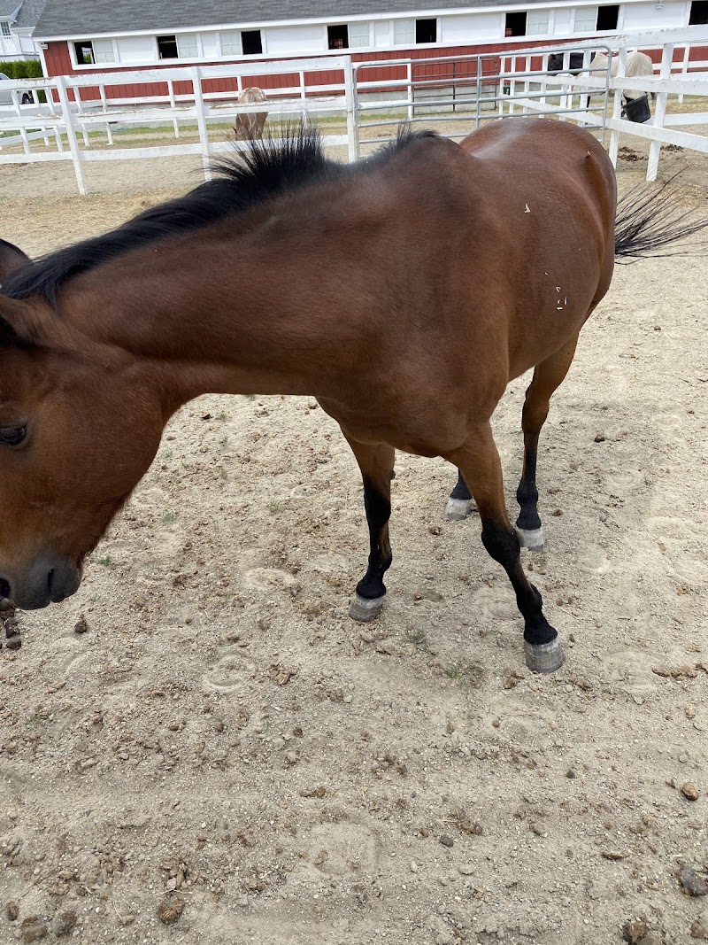Boulder Brook Equestrian Center photo 3