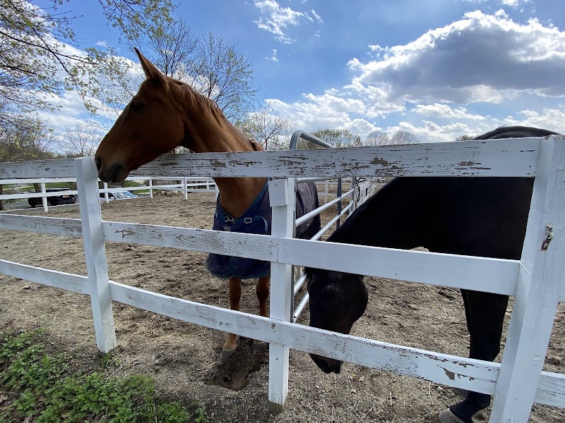 Boulder Brook Equestrian Center photo 4