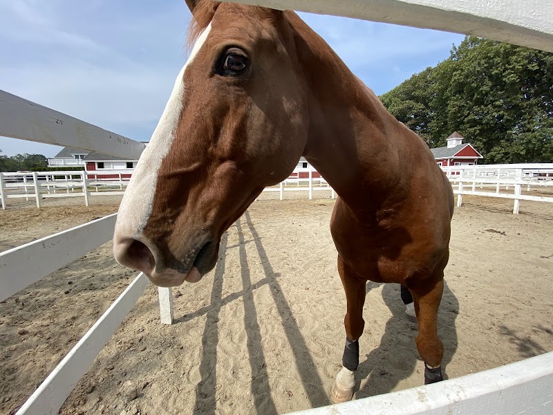 Boulder Brook Equestrian Center photo 5