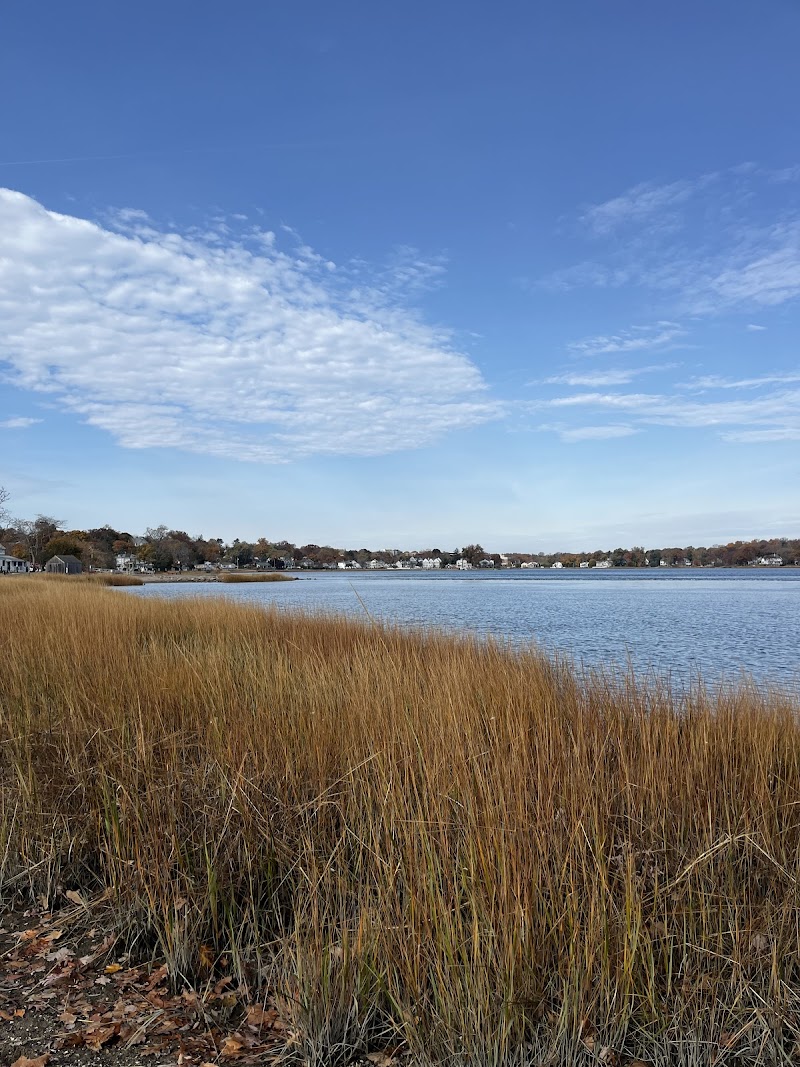 SoundWaters Coastal Education Center in Cove Island Park photo 4